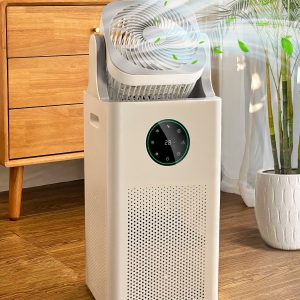 Humidifier and Purifier in One 4L
